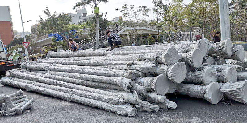 精致傾力打造福田高清全景八角監控立桿案例